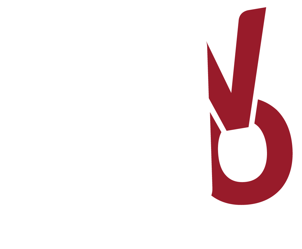 Learn Vietnamese with TVO